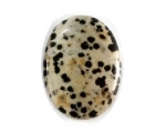 10 x 8 Cabochon - Dalmatian Jasper