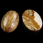 10 x 8 Cabochon - Picture Jasper