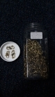 18 Carat Gold Polish Finish (Copper base) - S-Hook Antique
