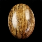 18 x 12 Cabochon - Picture Jasper