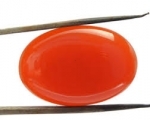 6 x 8 Cabochon - Carnelian