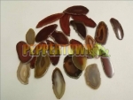 Agate Slice Medium - Brown 