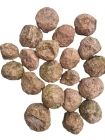 Agate Creek Thundereggs - Small (each)