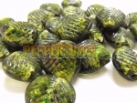 Green Heart Foil Beads - 500g