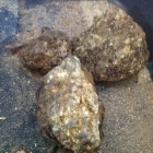 Lepidolite Botryoidal (Bubble) Stone - Per Kilo