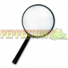 Hand Held Magnifying Glass