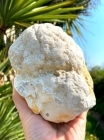 Natural Geode Unbroken EXTRA LARGE - Per Kilo