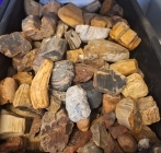 Petrified Wood - Per Kilo