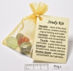 Tumbled Crystal Kit - STUDY