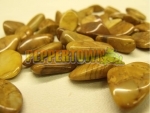 Yellow Jasper 